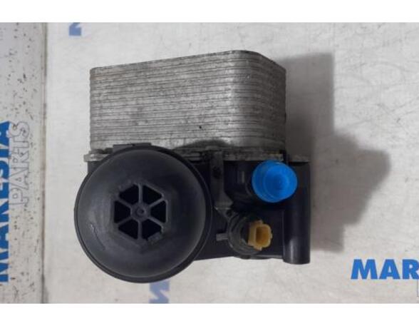 Oil Filter Housing Box RENAULT Trafic III Kasten (FG), NISSAN NV300 Kasten (X82)