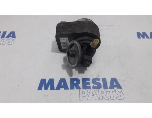 Oil Filter Housing Box RENAULT GRAND SCÉNIC III (JZ0/1_), RENAULT SCÉNIC III (JZ0/1_)