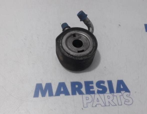 Oil Filter Housing Box RENAULT KANGOO Express (FC0/1_)