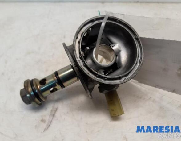 Oil Filter Housing Box RENAULT GRAND SCÉNIC III (JZ0/1_)