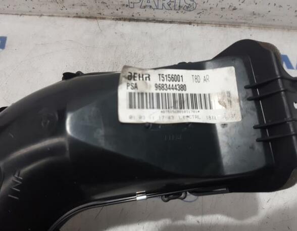 Interior Blower Motor PEUGEOT 5008 (0E, 0U)