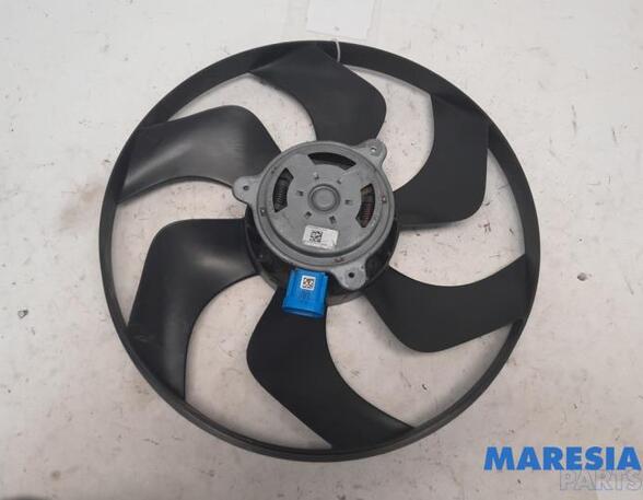 Interior Blower Motor RENAULT Trafic III Kasten (FG)