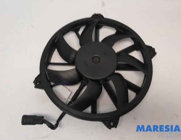 Interior Blower Motor PEUGEOT 3008 MPV (0U_)