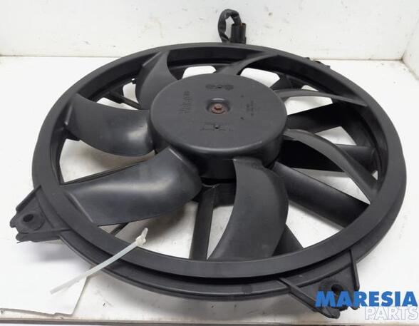 Interior Blower Motor PEUGEOT 3008 MPV (0U_)