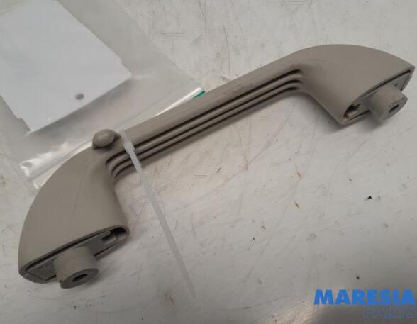 Grab Handle FIAT Ducato Kasten (250, 290), FIAT Ducato Bus (250, 290), FIAT Ducato Kasten (250)