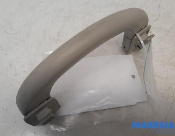 Grab Handle FIAT Ducato Kasten (250, 290), FIAT Ducato Bus (250, 290), FIAT Ducato Kasten (250)