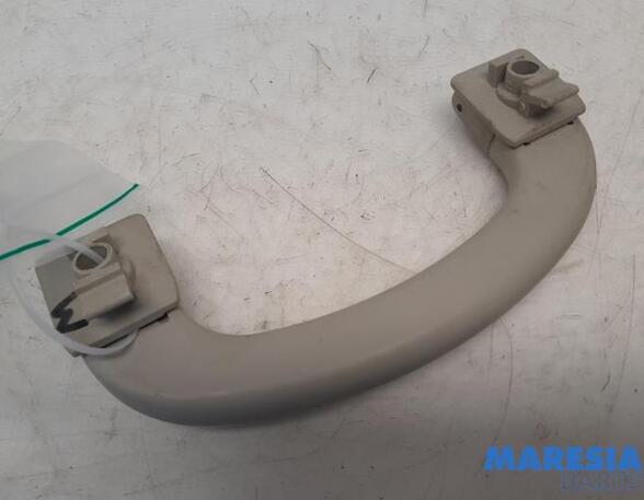 Grab Handle FIAT Ducato Kasten (250, 290), FIAT Ducato Bus (250, 290), FIAT Ducato Kasten (250)