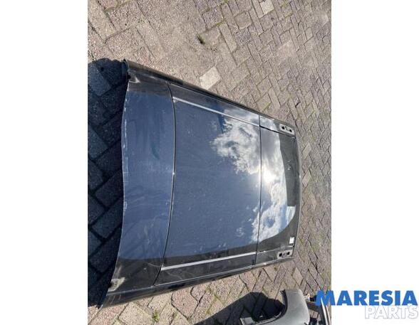 Sunroof RENAULT MEGANE III Grandtour (KZ0/1)