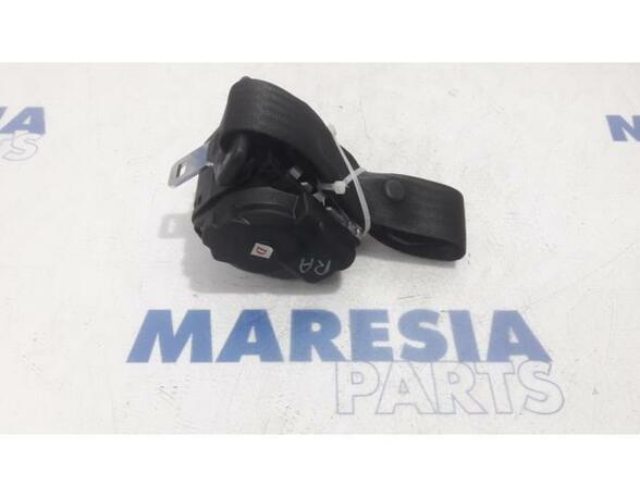 Safety Belts FIAT Panda (169)