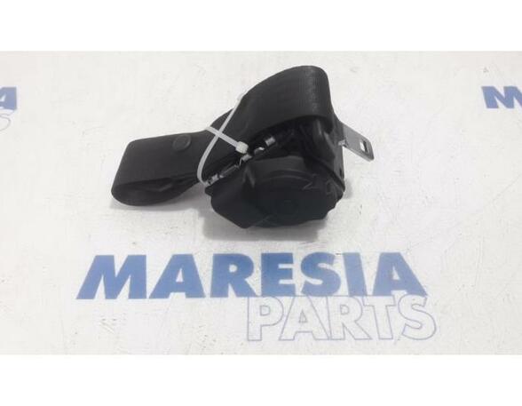 Safety Belts FIAT Panda (169)