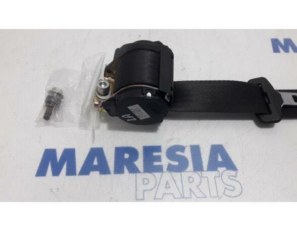 Safety Belts FIAT Panda (169)