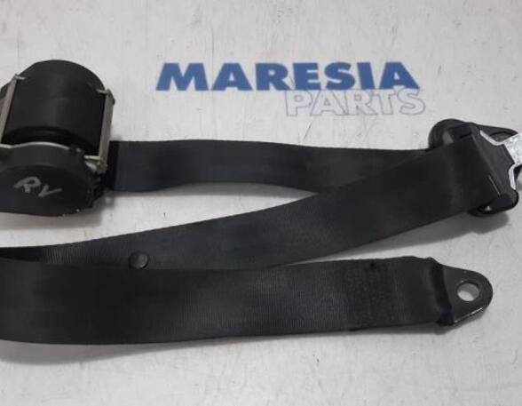 Safety Belts RENAULT KANGOO Express (FW0/1_)