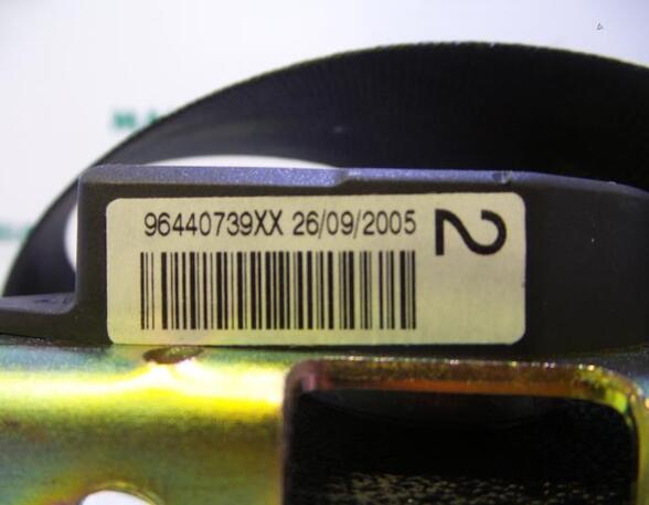 Safety Belts PEUGEOT 407 SW (6E_)