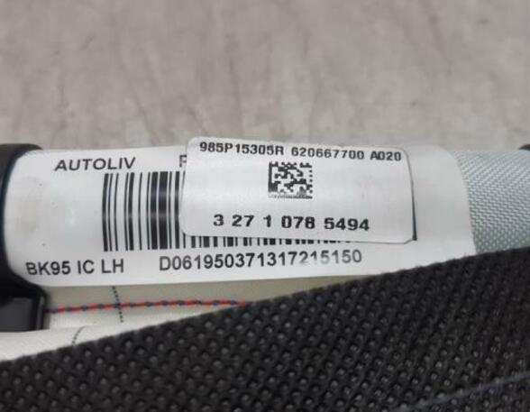 Dak Airbag RENAULT MEGANE III Hatchback (BZ0/1_, B3_)