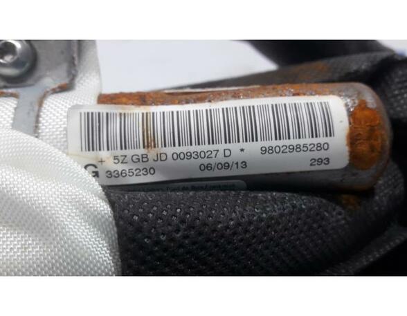 Airbag Dach links Peugeot 508 I SW 8E 9802985280 P13550786