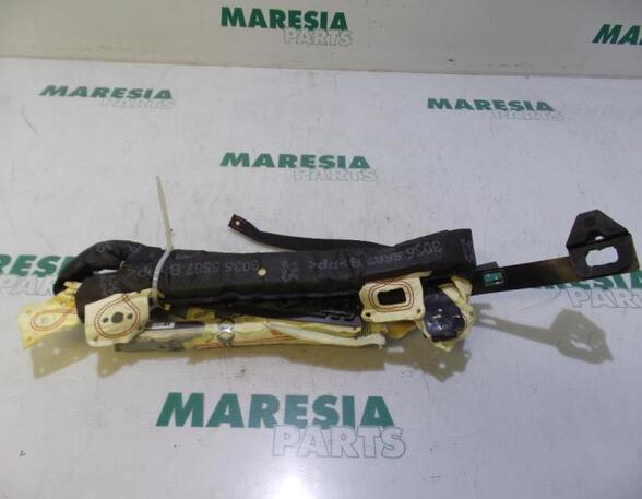 Airbag Dach links Peugeot 206 Schrägheck 2A/C 9647971880 P5893624