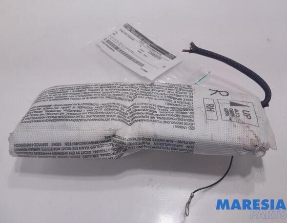 Side Airbag FIAT 500 (312), FIAT 500 C (312), FIAT 500/595/695 (312), FIAT 500C/595C/695C (312)