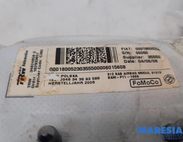 Side Airbag FIAT 500 (312), FIAT 500 C (312), FIAT 500/595/695 (312), FIAT 500C/595C/695C (312)