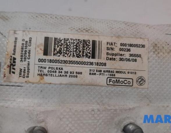 Zijairbag FIAT 500 (312_), FIAT 500 C (312_)