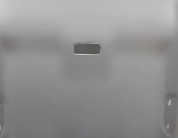 Front Interior Roof Trim Panel RENAULT MEGANE III Grandtour (KZ0/1)