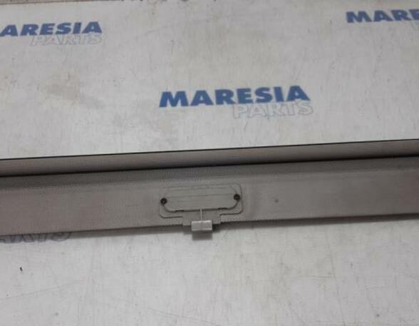 Front Interior Roof Trim Panel FIAT Grande Punto (199), FIAT Punto Evo (199), FIAT Punto (199)