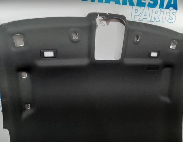 Front Interior Roof Trim Panel RENAULT Clio V (BF)