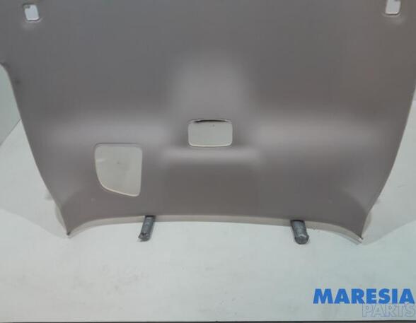 Front Interior Roof Trim Panel CITROËN C4 GRAND PICASSO II (DA_, DE_)