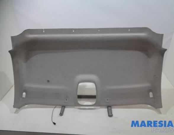 Front roof paneel RENAULT Trafic III Kasten (FG)