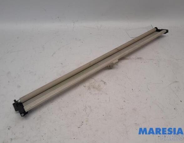 Front Interior Roof Trim Panel FIAT 500 (312_), FIAT 500 C (312_)