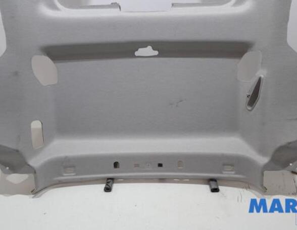 Front Interior Roof Trim Panel PEUGEOT PARTNER TEPEE, PEUGEOT PARTNER Box Body/MPV, BMW X5 (F15, F85), PEUGEOT 301