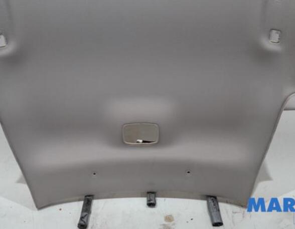 Front Interior Roof Trim Panel CITROËN C4 II (B7)