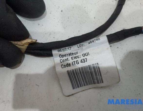 Tow Hitch (Towbar) RENAULT Trafic III Kasten (FG)