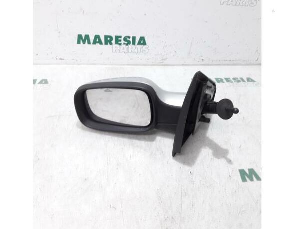 Wing (Door) Mirror RENAULT Clio III (BR0/1, CR0/1)