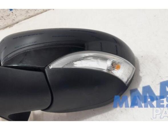 Wing (Door) Mirror RENAULT Zoe (BFM)