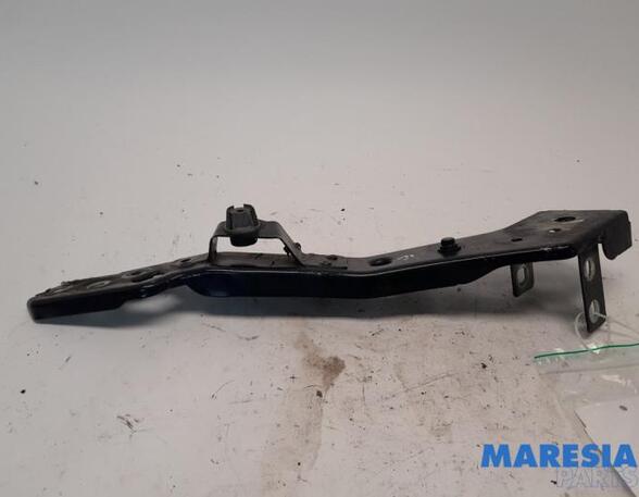 Frontblech Renault Megane III Coupe Z 6251206D P20572494