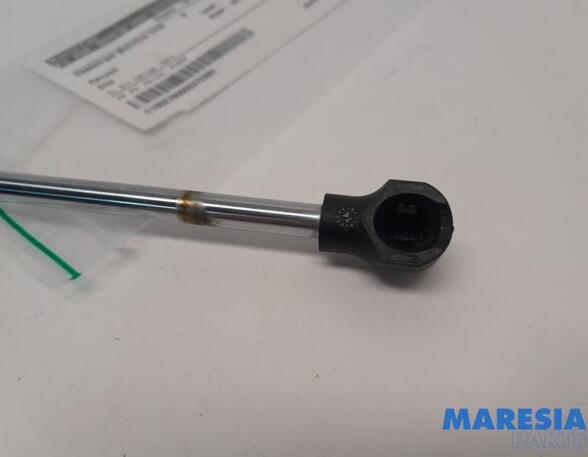 Gas Spring RENAULT Captur I (H5, J5), RENAULT Clio IV (BH), RENAULT Clio III (BR0/1, CR0/1)