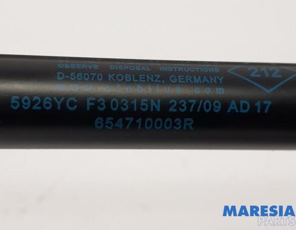 Gas Spring RENAULT MEGANE III Hatchback (BZ0/1_, B3_)