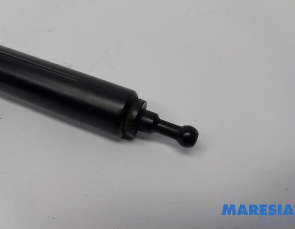 Gas Spring RENAULT MEGANE III Hatchback (BZ0/1_, B3_)