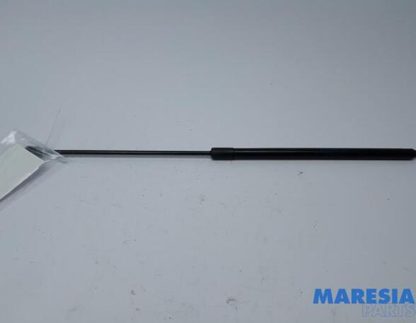 Gas Spring RENAULT MEGANE III Hatchback (BZ0/1_, B3_)