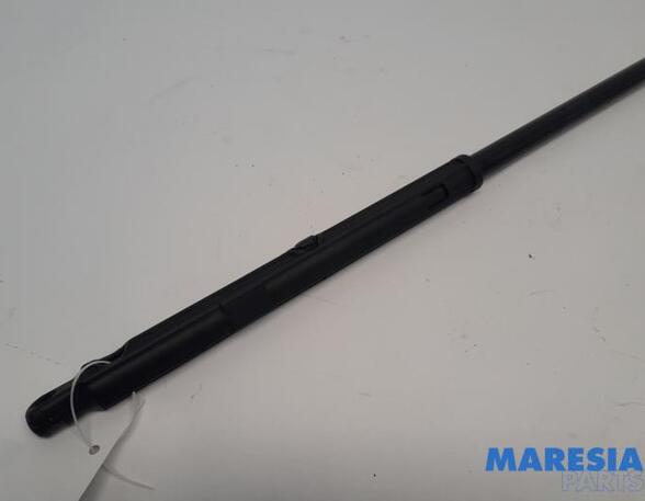 Gas Spring PEUGEOT 508 SW I (8E_), PEUGEOT 508 I (8D_)