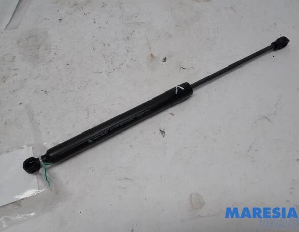 Gas Spring RENAULT CLIO IV Grandtour (KH_), RENAULT CLIO III Grandtour (KR0/1_)