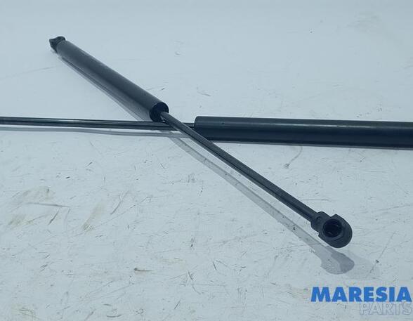 Bootlid (Tailgate) Gas Strut Spring RENAULT Twingo III (BCM)