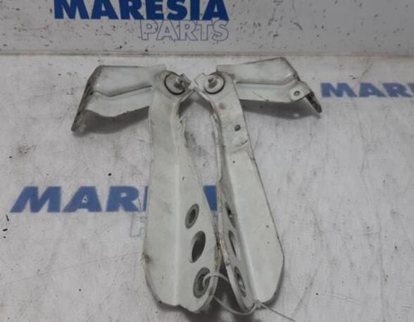 Bonnet Hinge RENAULT Master III Kasten (FV)