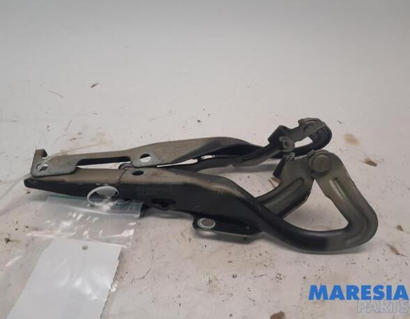 Bonnet Hinge PEUGEOT 207 CC (WD)