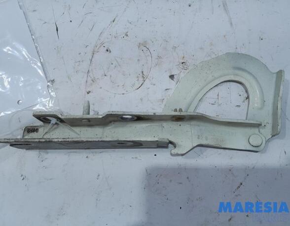 Bonnet Hinge CITROËN Jumpy Kasten (--)