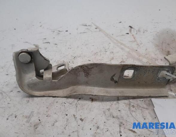 Bonnet Hinge FIAT Ducato Kasten (250, 290), FIAT Ducato Bus (250, 290), FIAT Ducato Kasten (250)