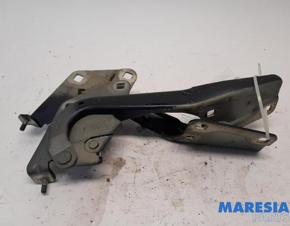 Bonnet Hinge RENAULT MEGANE III Coupe (DZ0/1_)