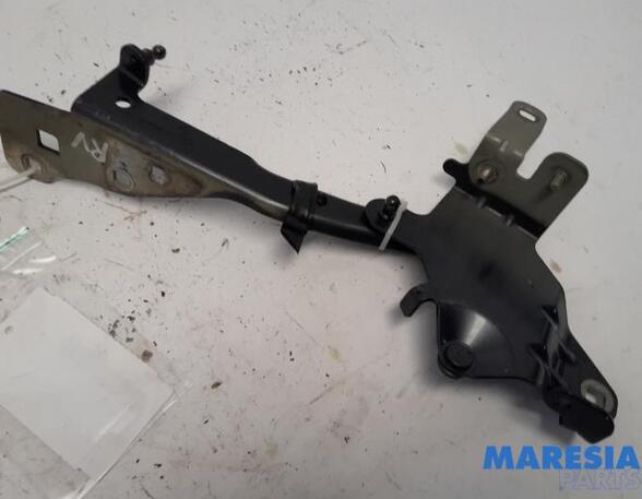 Bonnet Hinge RENAULT Scénic III (JZ0/1), RENAULT Grand Scénic III (JZ0/1)