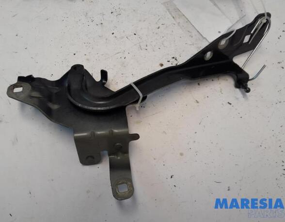 Bonnet Hinge RENAULT Scénic III (JZ0/1), RENAULT Grand Scénic III (JZ0/1)