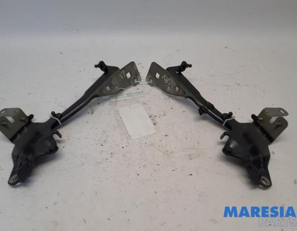 Bonnet Hinge RENAULT Scénic III (JZ0/1), RENAULT Grand Scénic III (JZ0/1)